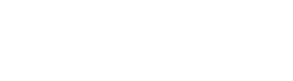 VnExpress International